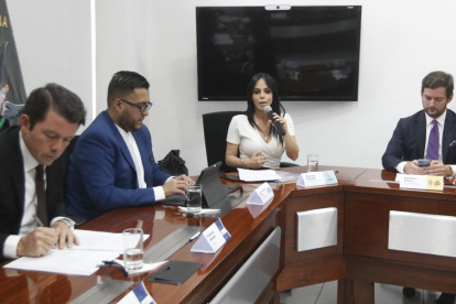 El 21 de abril, cuatro de los cinco jefes de los bloques legislativos llegaron al Ministerio de Gobierno para entablar un diálogo.