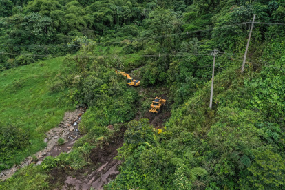 Maquinaria del Ministerio de Obras se abre paso por la flora del sector de Piedra Fina.