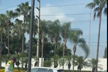 Hecho. La novedad fue registrada en un video y se difundió en redes sociales.