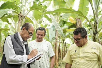 Acción. Eduardo Izaguirre (derecha), viceministro de Agricultura, en la inspección a los pequeños bananeros.