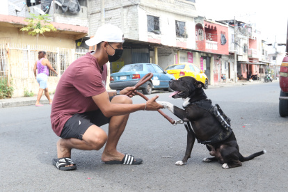 Bruno se enfrentó hace pocos días a los delincuentes que asaltaron a miembros de su familia.