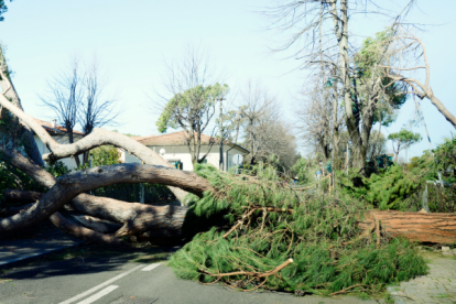 Referencial de huracanes.