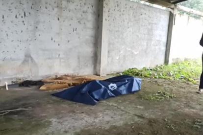 Los impactados moradores alertaron a la Policía Nacional para que verifique lo que allí de visualizaba