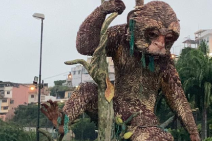 El mono machín amaneció este 8 de junio enredado con cabos y redes de pesca