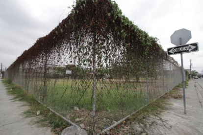 El terreno llevaba varios años en abandono