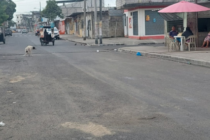 Arrojan artefacto explosivo en la Coop. Miami Beach, en el Guasmo Sur