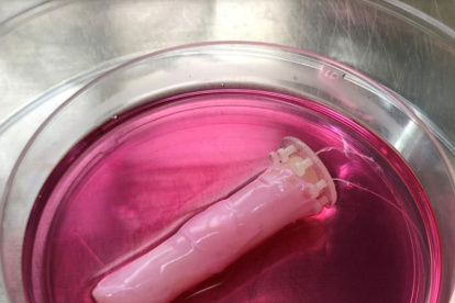 Investigadores de la Universidad de Tokio desarrollan un método para cubrir a los robots con células humanas vivas