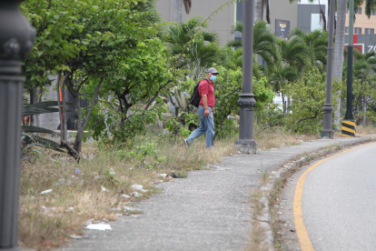 Situación. A lo largo de la avenida Orellana, el jardín del parterre central luce con mucha maleza y basura.