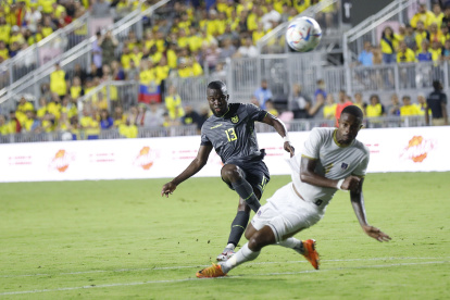 Gustavo Alfaro armó una base de 50 jugadores para las eliminatorias y Copa América. De ellos, 20 ya tienen un lugar en el Mundial de Qatar. Los seis restantes se definirán en las próximas semanas.