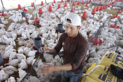 Valor. En finca, la libra se vende en $ 0,83, pero sube según la intermediación. En tiendas llega a $ 1,15.