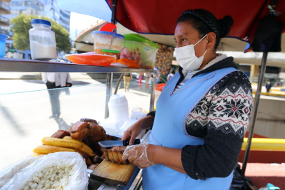 Comerciante. Beatriz Quishpe vende fritada en el parque El Ejido y el cuchillo es su herramienta indispensable.