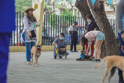 Evento. La jornada se ejecutó en el parque lineal de la Kennedy.