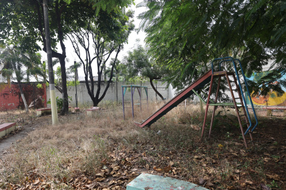 Escenario. Los juegos infantiles se borran del mapa debido a la maleza.