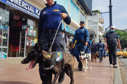 Acción. Uno de los canes circula por el casco comercial.