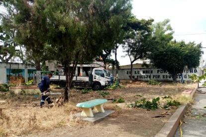 Efecto. El área era comparada como una selva.