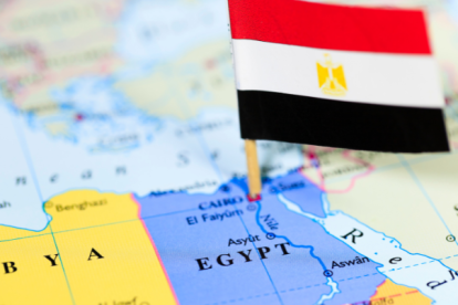 Imagen de referencia