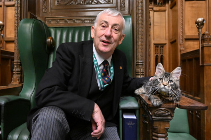 Sir Lindsay Hoyle y el gato Attlee en la silla del presidente de la Cámara de los Comunes.