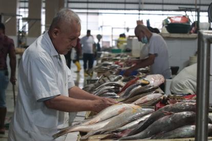 Plaza. En el mercado municipal de la Caraguay los mariscos no se han encarecido y la oferta es abundante.