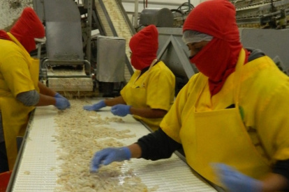 Al sector le toca trabajar en la caracterización y codificación de las artes de pesca que se utilizan y en un sistema de recolección de datos que será alimentado por sus actores