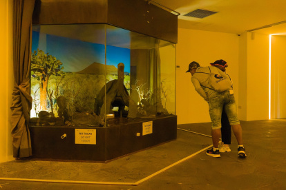 Dos turistas observan el cuerpo del Solitario George, que permanece expuesto en un lugar donde no le dé el sol y a una temperatura regulada.