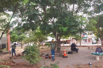 Efecto. Una tarea de limpieza y poda en los árboles se dieron en el sitio.