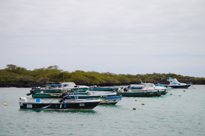 Fibras de pesca en la rada de Puerto Villamil.