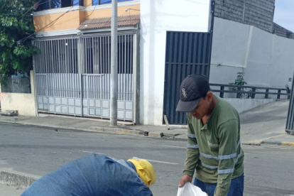 Trabajos. Se realizó la limpieza de algunos de los espacios.