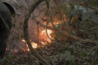 Los incendios en la selva amazónica suelen aumentar a partir de mayo cuando comienza la temporada de seca y la tendencia es que la situación se agrave en los próximos meses.