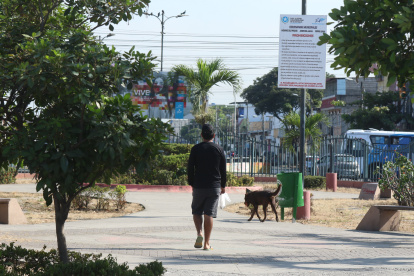 Mascotas. En parques cerrados o abiertos, el excremento de mascotas es lo que más se observa. Pocos llevan fundas para recoger las heces.