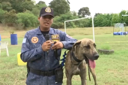 Caso. El can fue rescatado.