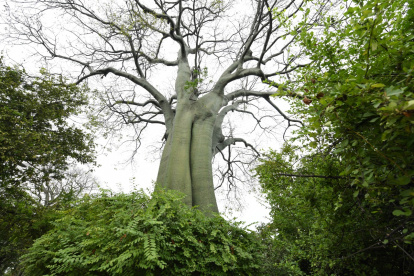 Una de las especies que más llama la atención de los visitantes.