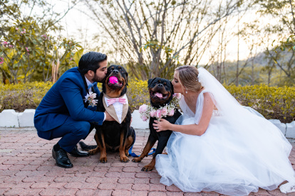 Un evento especial. Los novios Gabriela Corona y Andrés Sánchez vistieron a sus mascotas para la ocasión.