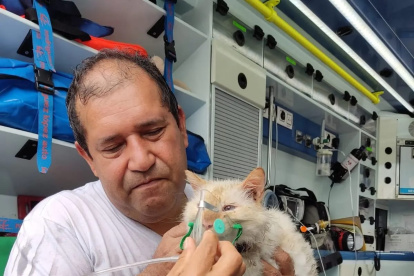 Siniestro. Las mascotas fueron atendidas tras el incidente.