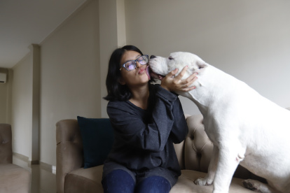 Recuperación. Después de un año, Pocho demuestra un gran cambio en su vida, de luchas constantes pasó a caricias diarias en su nuevo hogar.