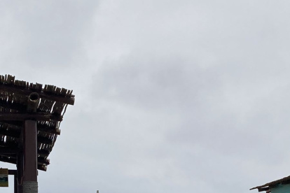 Los cabos en la playa, son los mayores problemas en el mar, que causa hasta la muerte de especies.