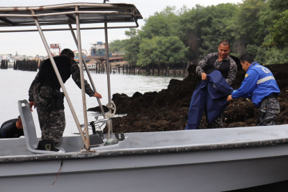 Búsqueda. El hallazgo se dio la mañana de ayer, cerca de la 40 y Portete.