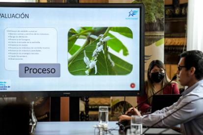 Durante la jornada se analizaron las medidas que urgen para afrontar el problema.