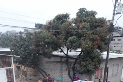 Anuncio. El Municipio informó de estos casos.