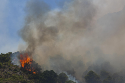 Un helicóptero del servicio de bomberos trabaja en el incendio declarado en la sierra de Mijas, Málaga, este sábado.
