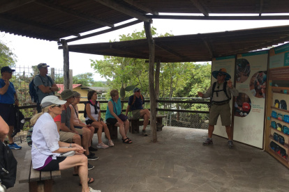 Referencia. Los viajeros tendrán que presentar uno de los requisitos en su arribo al país.