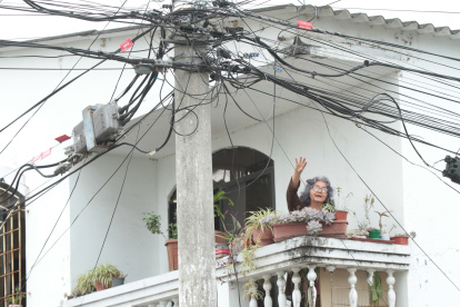 Referencial. En la ciudadela Guayacanes los ‘tallarines’ topan hasta los balcones del sector, lo que genera temor.