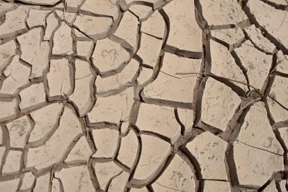 Suelo resquebrajado de un río seco