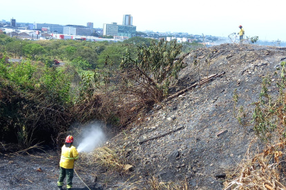 Los bomberos llegaron para controlar el incendio