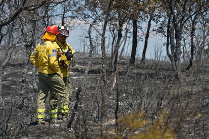 Varios bomberos en la zona afectada por el incendio forestal originado ayer en Humanes (Guadalajara).