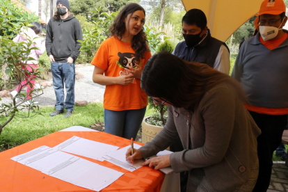 Iniciativa. El fin de semana se movilizarán voluntarios por diferentes puntos de la ciudad para recoger firmas.