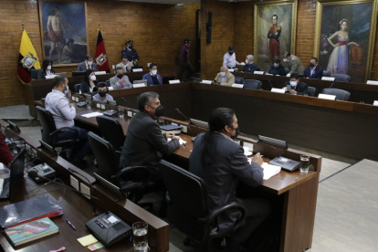 Aunque se integró en un inicio con un importante número de afines al correísmo, actualmente solo cuatro responden a Revolución Ciudadana. Igual número a Izquierda Democrática, dos al movimiento CREO y once se ubican como independientes