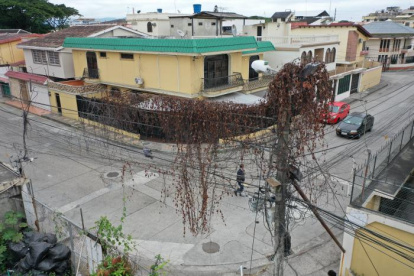 En algunos sectores, el cableado hasta se llena de monte en la parte alta