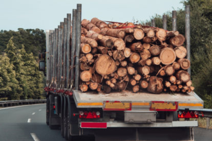 Los agentes policiales encontraron las sustancias camufladas en un contenedor que transportaba madera seca