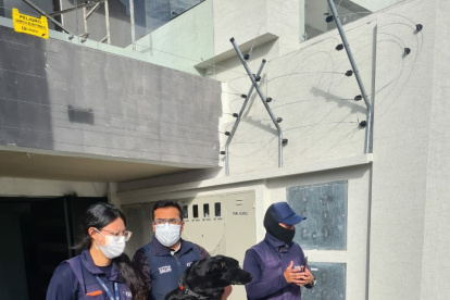La mascota fue inmediatamente trasladada a un centro atención veterinaria