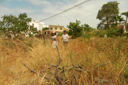 Maleza. Este es el panorama que observan los residentes a diario, desde cualquier rincón de la ciudadela. Hay maleza y palos por todos lados. Ni siquiera la limpieza es suficiente por parte del Cabildo.